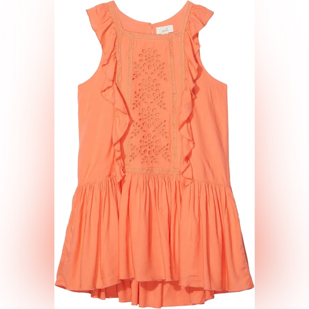 Peek Aren’t You Curious Lace & Embroidery Dress